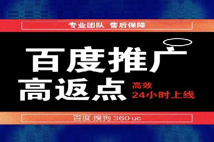 百度SEO推广公司案例分享：行业佼佼者经验